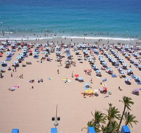 Las Palmeras - Fincas Arena Benidorm Exterior photo