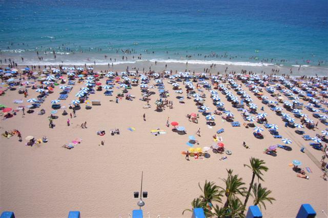 Palmeras - Arena Apartament Benidorm